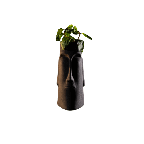 Thirty Seats aus Karlsruhe – deine Speakeasy-Bar für echte Genussmomente